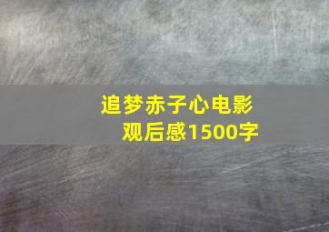 追梦赤子心电影观后感1500字