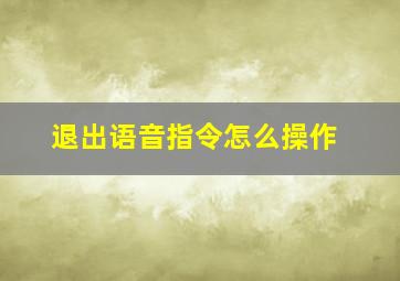 退出语音指令怎么操作