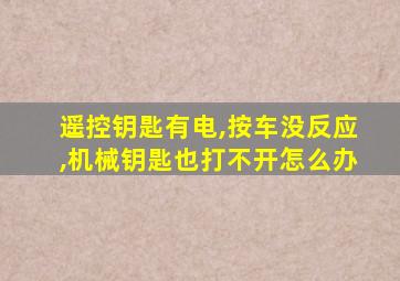 遥控钥匙有电,按车没反应,机械钥匙也打不开怎么办