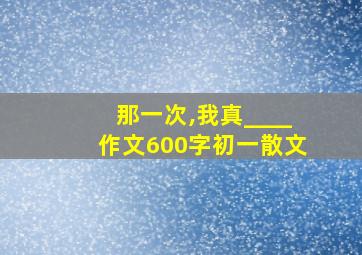 那一次,我真____作文600字初一散文