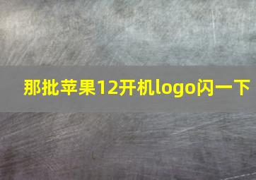 那批苹果12开机logo闪一下