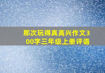 那次玩得真高兴作文300字三年级上册评语