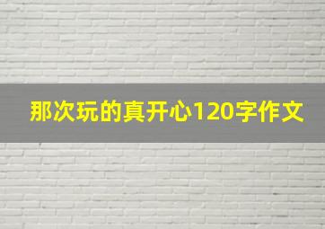 那次玩的真开心120字作文