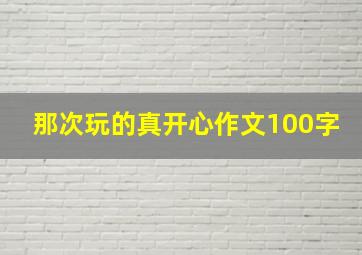 那次玩的真开心作文100字