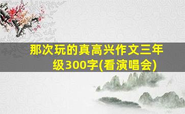 那次玩的真高兴作文三年级300字(看演唱会)