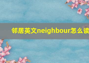 邻居英文neighbour怎么读