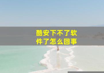 酷安下不了软件了怎么回事