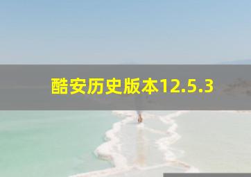 酷安历史版本12.5.3