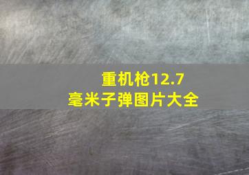 重机枪12.7毫米子弹图片大全