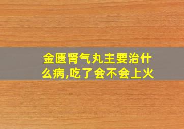 金匮肾气丸主要治什么病,吃了会不会上火