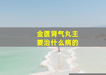 金匮肾气丸主要治什么病的