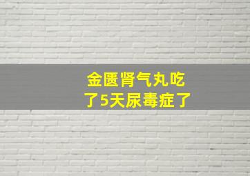 金匮肾气丸吃了5天尿毒症了