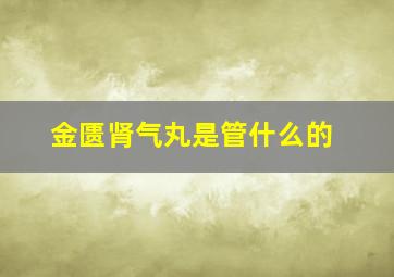 金匮肾气丸是管什么的