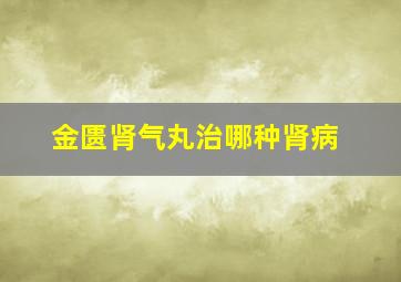 金匮肾气丸治哪种肾病