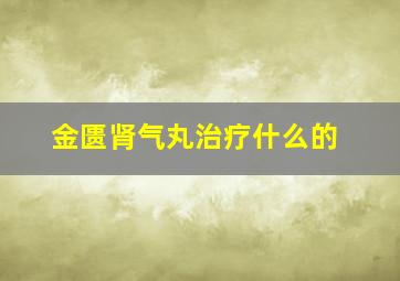 金匮肾气丸治疗什么的