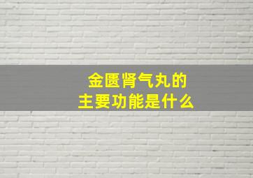 金匮肾气丸的主要功能是什么