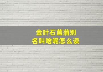 金叶石菖蒲别名叫啥呢怎么读