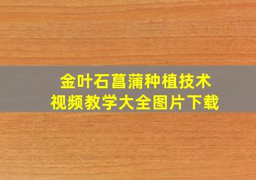 金叶石菖蒲种植技术视频教学大全图片下载