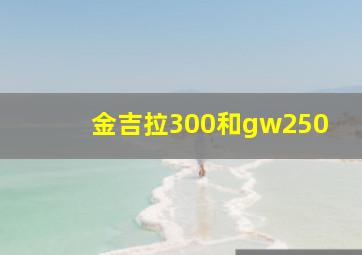 金吉拉300和gw250