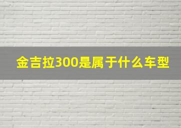 金吉拉300是属于什么车型