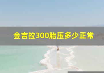 金吉拉300胎压多少正常