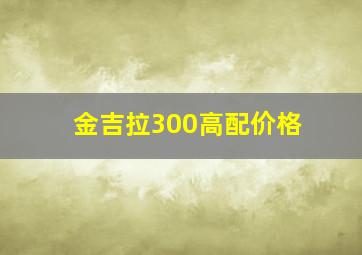 金吉拉300高配价格