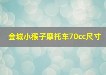 金城小猴子摩托车70cc尺寸