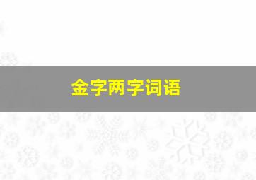 金字两字词语