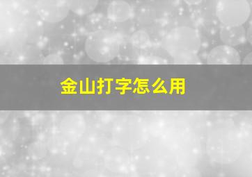 金山打字怎么用