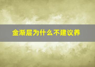 金渐层为什么不建议养