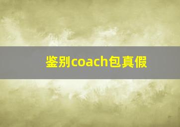 鉴别coach包真假