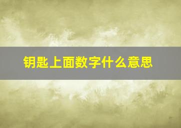 钥匙上面数字什么意思