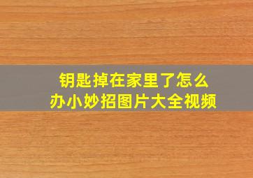 钥匙掉在家里了怎么办小妙招图片大全视频