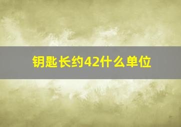 钥匙长约42什么单位