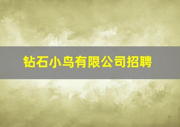 钻石小鸟有限公司招聘