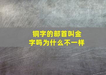 铜字的部首叫金字吗为什么不一样