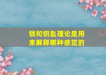 锁和钥匙理论是用来解释哪种感觉的