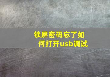 锁屏密码忘了如何打开usb调试