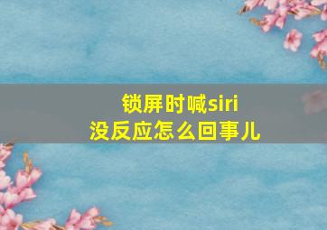 锁屏时喊siri没反应怎么回事儿