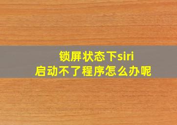 锁屏状态下siri启动不了程序怎么办呢