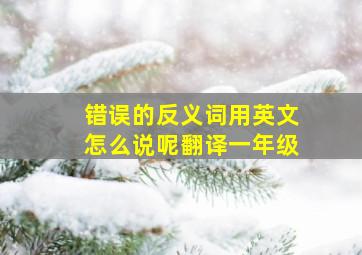 错误的反义词用英文怎么说呢翻译一年级