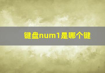 键盘num1是哪个键