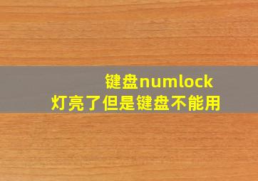 键盘numlock灯亮了但是键盘不能用