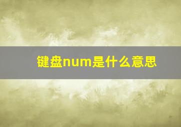 键盘num是什么意思