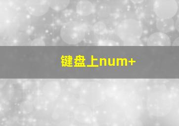 键盘上num+