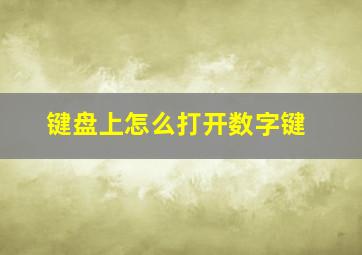 键盘上怎么打开数字键