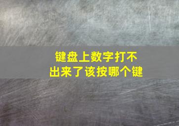 键盘上数字打不出来了该按哪个键