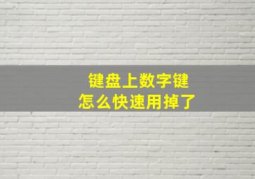 键盘上数字键怎么快速用掉了