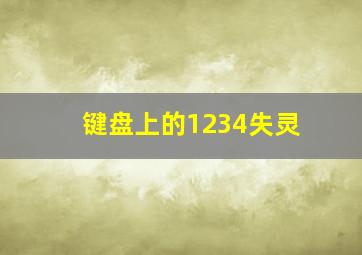 键盘上的1234失灵