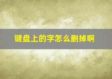 键盘上的字怎么删掉啊